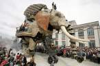 Elephant.jpg