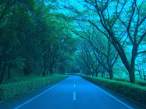 Road.jpg