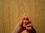 Tiny rabbit.jpg