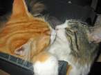 Kiss.jpg