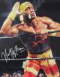 hulk hogan.gif