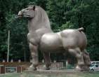 Strong horse.jpg