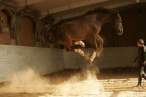 Jumping horse.jpg