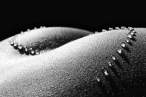 Drops [18+].jpg