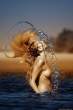Topless [18+].jpg
