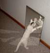 Hello.jpg