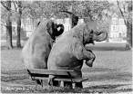 Elephants.jpg