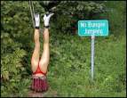 Bungee [18+].jpg