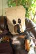 Dog.jpg