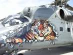 Tiger.jpg