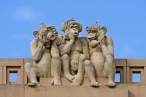 Monkeys.jpg