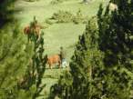 17_podborka_58.jpg