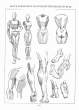 (eBook - English) Andrew Loomis - Figure Drawing - For All It's Worth_Page_063_Image_0001.jpg