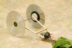 Snail.jpg