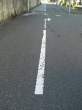 Street.jpg