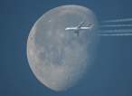 Fly to the moon.jpg