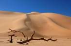 Sand.jpg