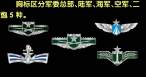 PLA- new branch badges.jpg