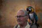 Parrot.jpg