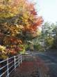 Autumn.jpg