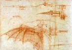 Leonardo fly2 s.jpg