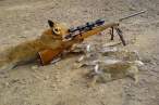 Fox_hunting.jpg