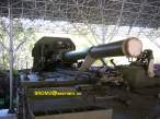 03. 2s4 tulpan.jpg
