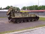13. 2s4 tulpan.jpg
