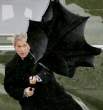 Strong wind.jpg