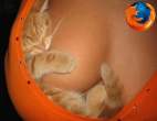 firefox-cat.jpg