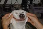 Smiling.jpg
