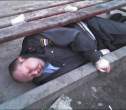 Wasted.jpg