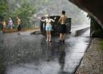 Rain.jpg