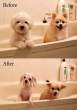 Before and after.jpg