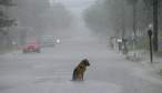 Alone.jpg