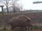 DSC01032.JPG