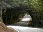 Tunnel.jpg