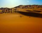 Lots of Sand.jpg