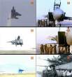 One wing.jpg