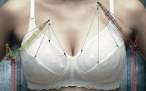 Crane [18+].jpg