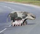 Road lunch.jpg