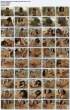 17635_Jayden_James_-_Has_Big_Pretty_Titties_Scene_1_123_243lo.jpg