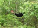 Hanging.jpg