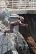 lily_allen_topless_cliff_4_big.jpg