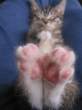 Feet.jpg