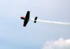 Extra300 S5-DPP Cenej1Jun08 06dsm.jpg