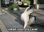 curseyouvillainsu5.jpg