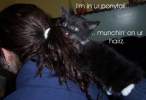 eatinghair.jpg