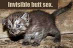 invisible-buttsex.jpg