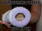 tubekitten.jpg